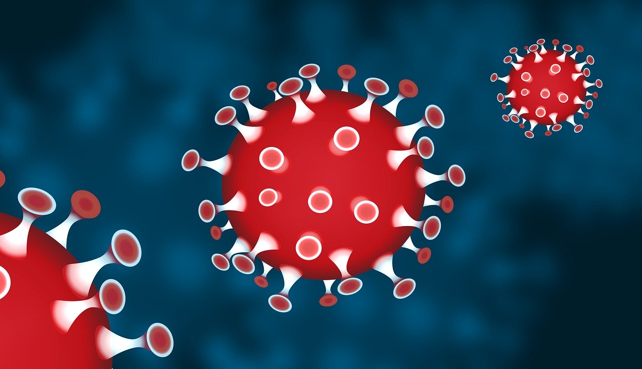 CoronaVirus