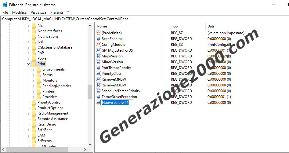 HKEY_LOCAL_MACHINE-System-CurrentControlSet-Control-Print -newDWORD