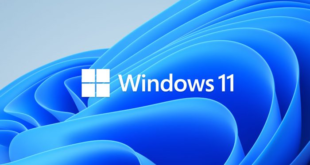immagine di windows 11